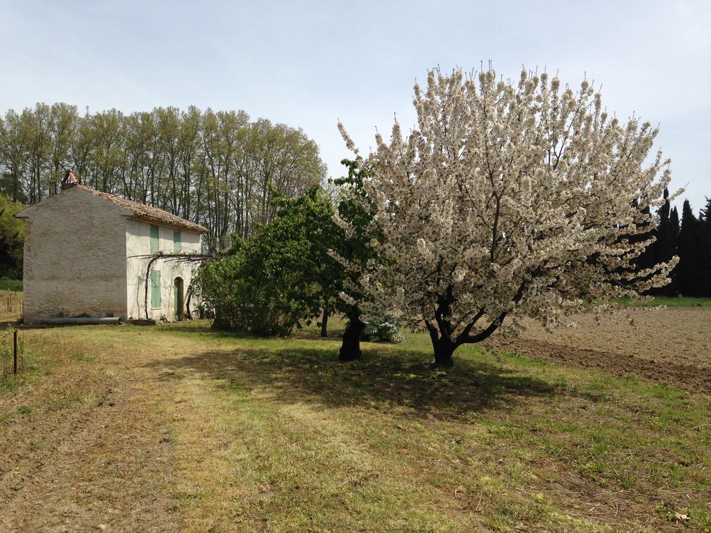 La Maison Du Peintre En Provence Mallemort Ngoại thất bức ảnh