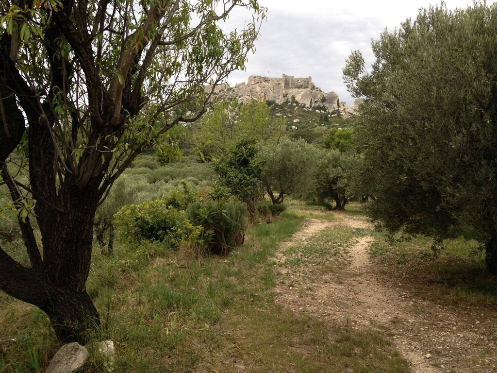 La Maison Du Peintre En Provence Mallemort Ngoại thất bức ảnh